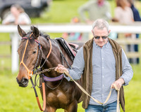 Pony Race 3 (4 of 56).jpg