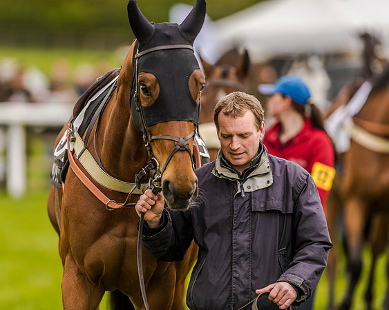 Race 2 - Open Maiden  (14 of 170).jpg