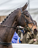 Race 8 - Hunt Challenge (17 of 96).jpg