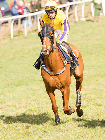 Race 4 - Novice and Veteran Riders race (25 of 46).jpg