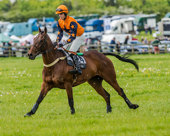 Race 4 - PPORA Novice Riders (54 of 196).jpg