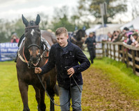 Race 5 - Open Maiden (15 of 147).jpg