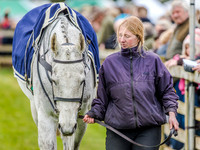 Race 1 - Connollys Red Mills Intermediate qualifier (20 of 104).jpg