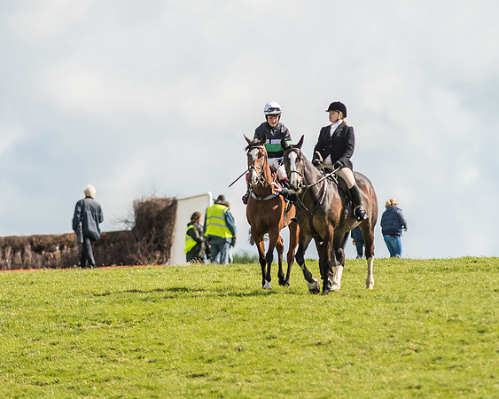 Race 6 - Open Maiden Race (7 of 71).jpg