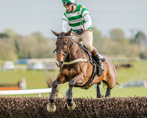 Race 8 - Hunt Challenge (32 of 96).jpg