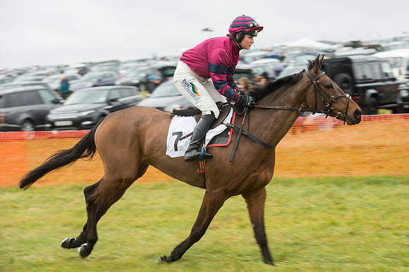 Race 2 - Ladies Open (23 of 70).jpg