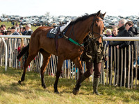 Race 2 - Confined Hunts Race (6 of 87).jpg