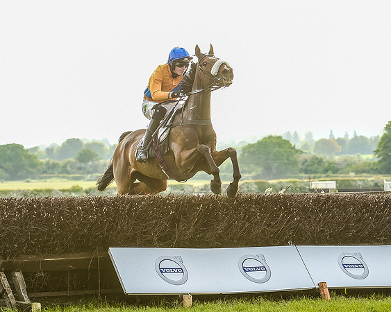 Race 7 - Div 2 - Open Maiden (80 of 163).jpg