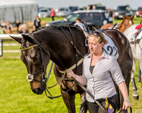 Race 6 - Open Maiden Race (14 of 176).jpg