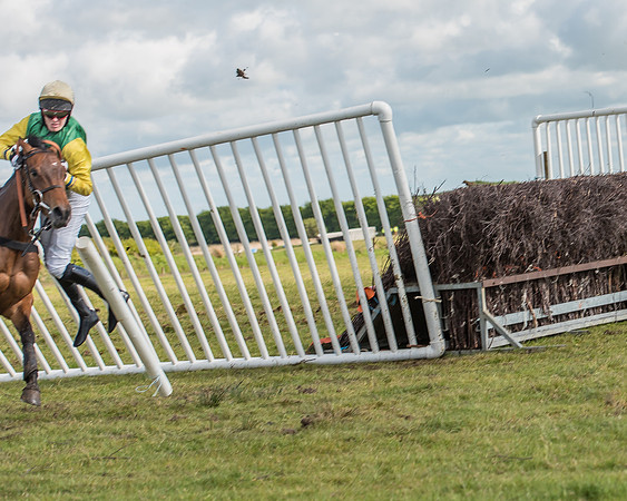 Race 6 - Open Maiden Race (45 of 71).jpg
