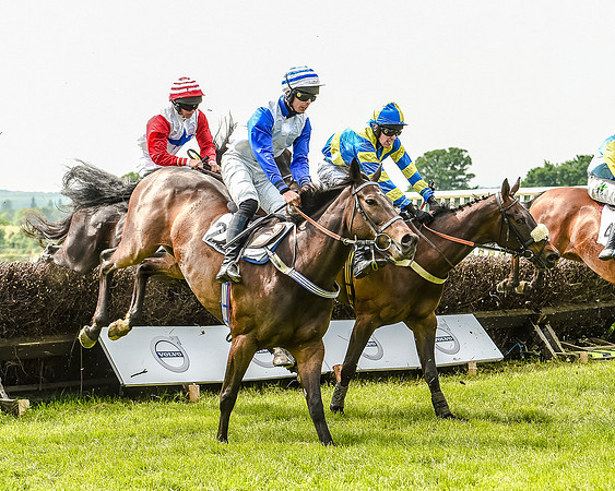 Race 2 - PPORA Members Novice Riders  (66 of 112).jpg