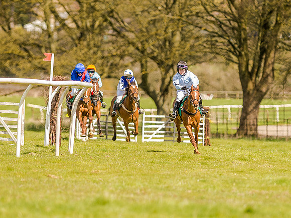 Pony Races (54 of 127).jpg