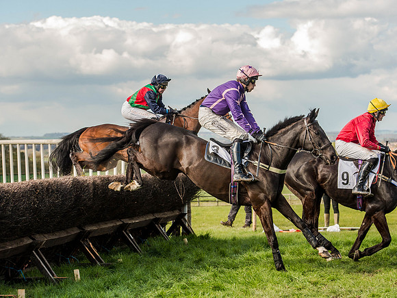 Race 5 - The Southern Grand national (29 of 96).jpg