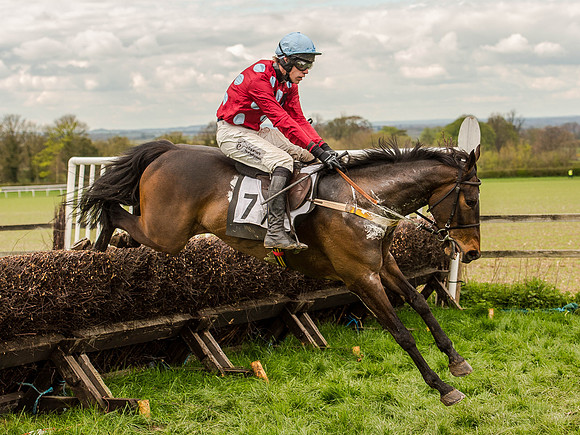 Race 3 - Young Horse maiden 2m5f (88 of 124).jpg