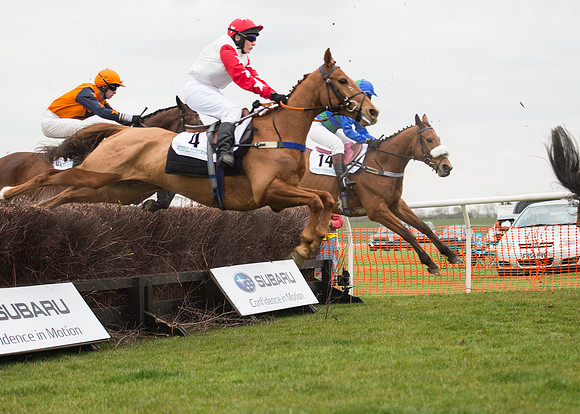 Race 6 - Confined Hunts-46