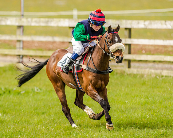 Pony Race 1  (34 of 65).jpg