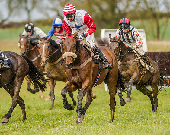 Race 5 - Open Maiden (102 of 147).jpg