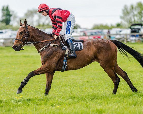 Race 4 - PPORA Novice Riders (81 of 196).jpg