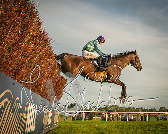 Race 5 - tipsterreviews.co.uk handicap (45 of 107)