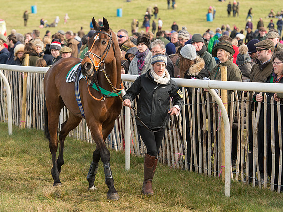 Race 3 - Mixed Open race (3 of 76).jpg