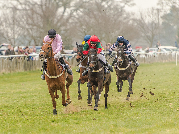 Race 5 - Open Maiden Division 1  (60 of 90).jpg