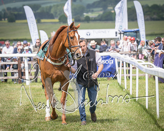 Race 1 - the Grafton adjacent hunts conditions race (level 2) (15 of 120)