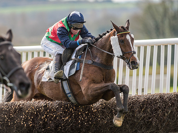 Race 5 - The Southern Grand national (64 of 96).jpg