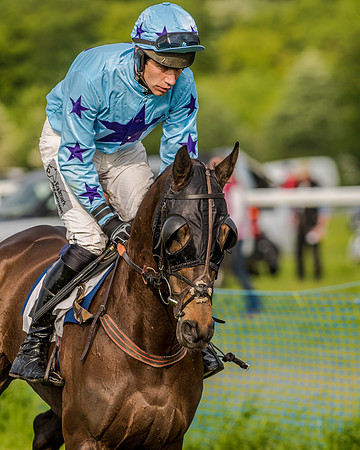 Race 7 - Div 2 - Open Maiden (67 of 163).jpg