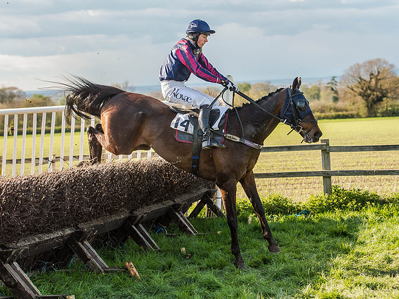 Race 6 - The Open Maiden (85 of 122).jpg