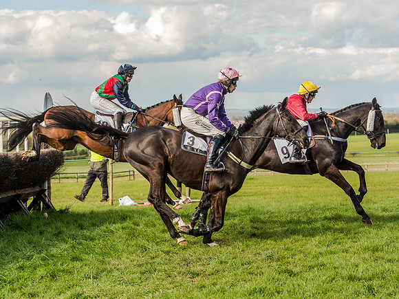 Race 5 - The Southern Grand national (30 of 96).jpg