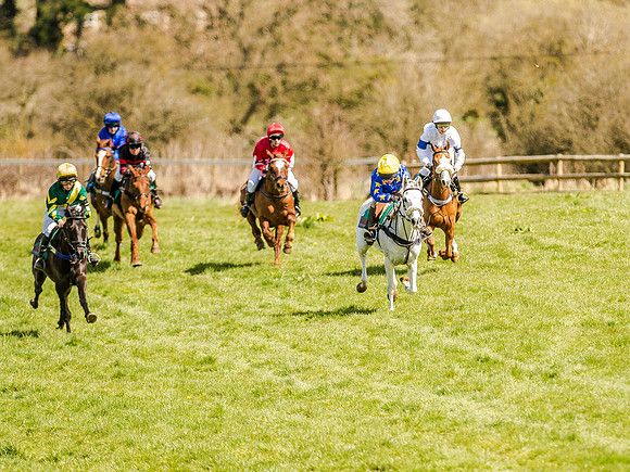 Pony Races (25 of 127).jpg