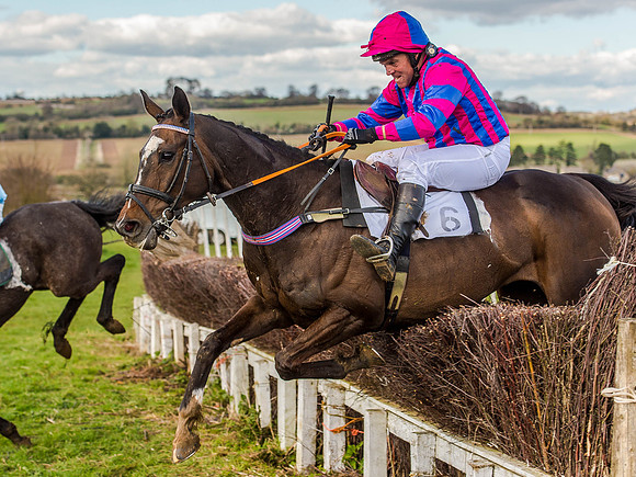 Race 6 - The Restricted Race [Nov-Vet] (61 of 84).jpg