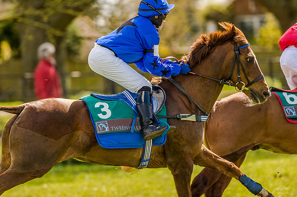 Pony Races (42 of 127).jpg