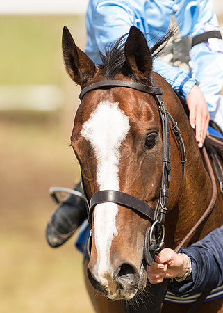 Pony Race 2 - 148cm  (39 of 49).jpg