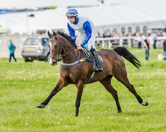 Race 4 - PPORA Novice Riders (67 of 196).jpg