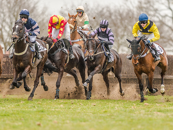 Race 5 - Open Maiden Division 1  (33 of 90).jpg