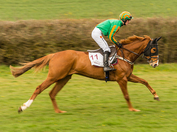 Race 6 - Open Maiden Division 1  (56 of 133).jpg
