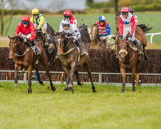 Race 5 - Open Maiden (95 of 147).jpg