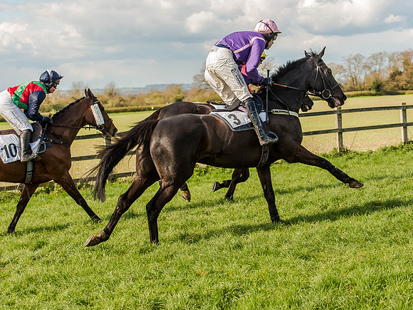 Race 5 - The Southern Grand national (38 of 96).jpg