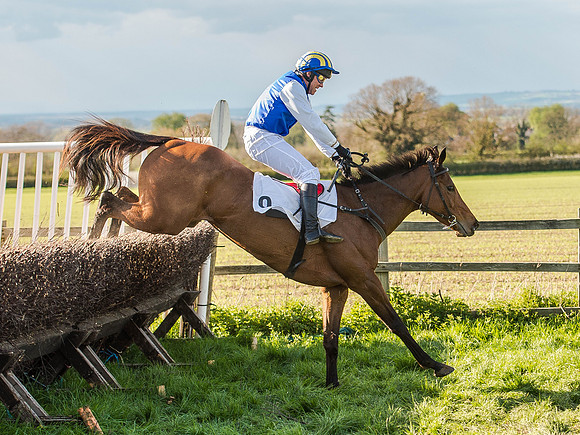 Race 6 - The Open Maiden (81 of 122).jpg