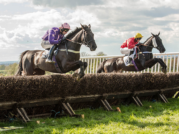 Race 5 - The Southern Grand national (44 of 96).jpg