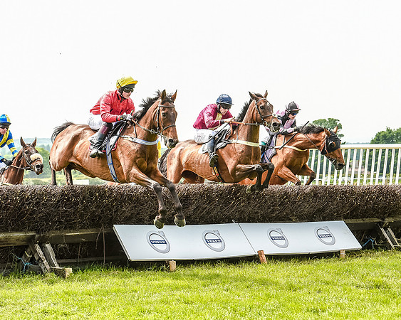 Race 2 - PPORA Members Novice Riders  (60 of 112).jpg