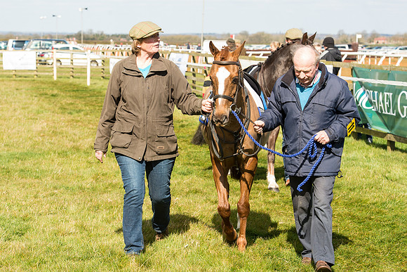 Pony Race 1 - 138cm -41