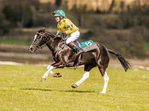 Pony Races (76 of 127).jpg