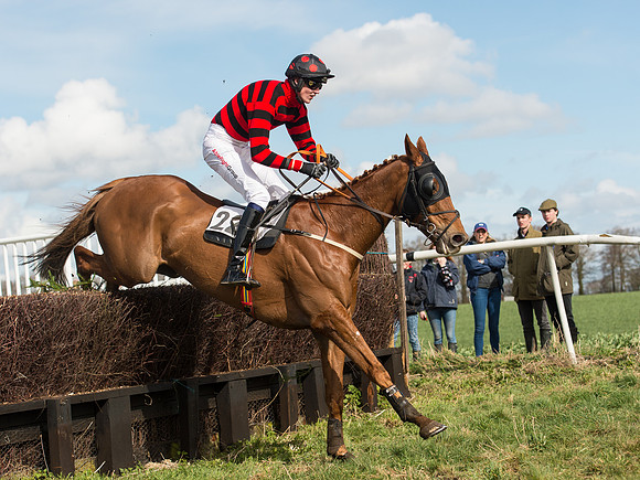 Race 2 - Confined Hunts Race (66 of 87).jpg