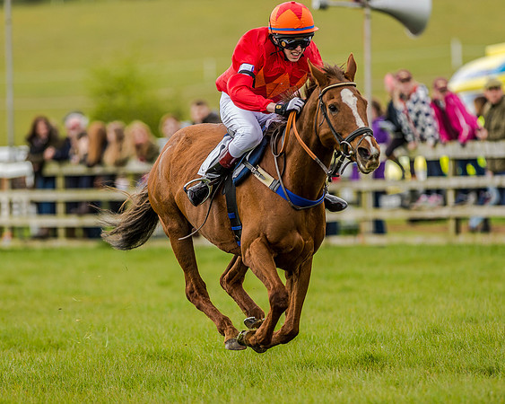 Pony Race 3 (60 of 78).jpg