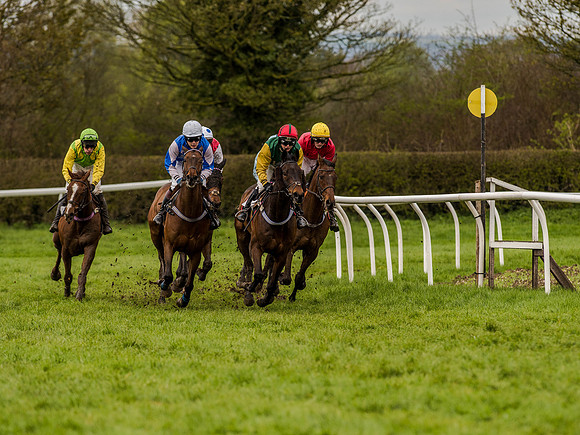 Race 1 - Confined Hunts (65 of 118).jpg