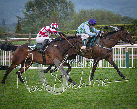 Race - 7 The Royal Gloucester Hussars Open Hunter's steeplechase 2m4f 127y (119 of 210)