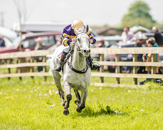 Pony Race 3 (33 of 56).jpg