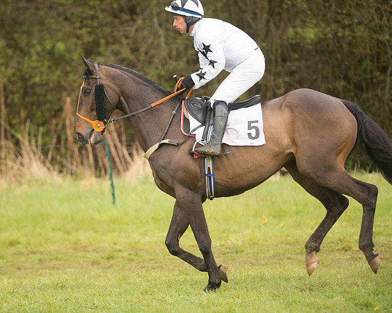 Race 5 - Open Maiden (37 of 147).jpg